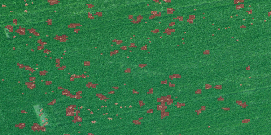 Aerial crop image with trouble spots marked